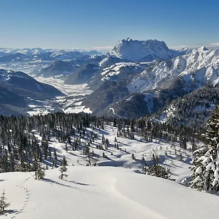 Alpenchalet Auszeit Apartment